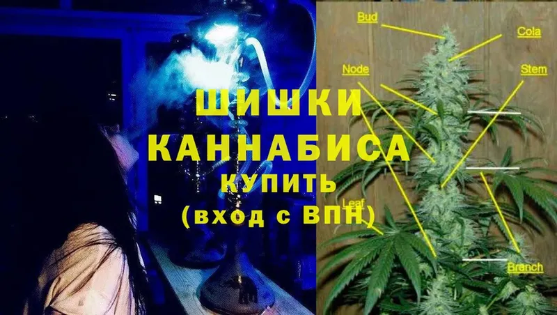 Где купить наркоту Анива ГАШИШ  Cocaine  кракен ТОР  Героин  Марихуана  Alpha-PVP  МЕФ 